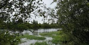 Дом 38м², 2-этажный, участок 5 сот.