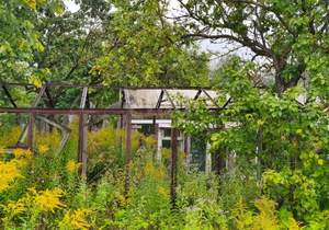 Дом 16м², 1-этажный, участок 5 сот.