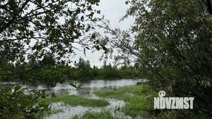 Дом 38м², 2-этажный, участок 5 сот.