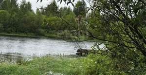 Дом 38м², 2-этажный, участок 5 сот.