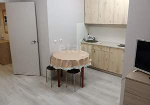 Студия квартира, на длительный срок, 24м2, 7/12 этаж