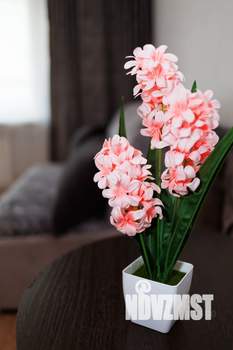 2-к квартира, посуточно, 45м2, 1/5 этаж