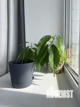 Студия квартира, посуточно, 30м2, 10/10 этаж