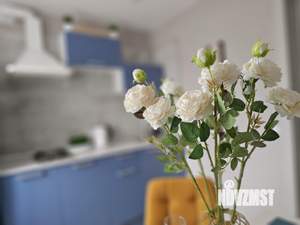 1-к квартира, посуточно, 31м2, 4/5 этаж