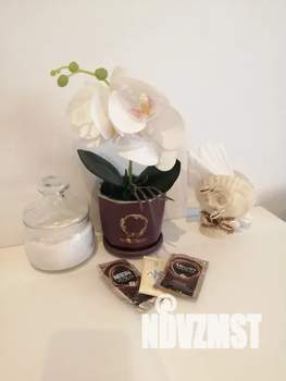 Студия квартира, посуточно, 26м2, 4/4 этаж