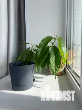 Студия квартира, посуточно, 29м2, 10/10 этаж