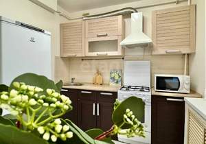 1-к квартира, вторичка, 31м2, 1/5 этаж