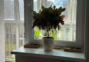 2-к квартира, вторичка, 63м2, 5/12 этаж