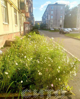 3-к квартира, вторичка, 77м2, 2/5 этаж