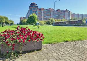 3-к квартира, вторичка, 81м2, 8/10 этаж